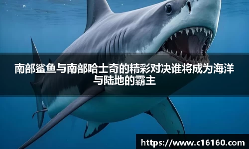 南部鲨鱼与南部哈士奇的精彩对决谁将成为海洋与陆地的霸主